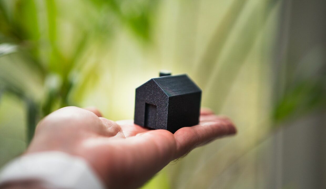 A person holding a small house in their hand